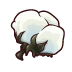 Cotton