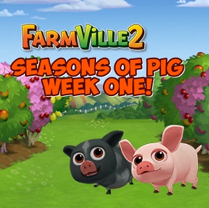 Farmville 2 Seasons of Pig First Week Guide