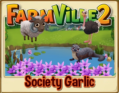 Society Garlic